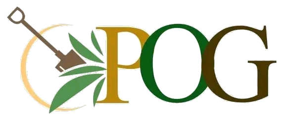 Pacita Organic Garden | Pacita Laguna